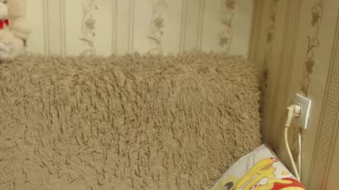 say meow and send tip  online show from 01/17/25, 09:39