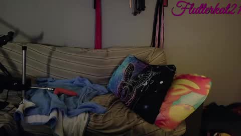 FlutterKat online show from 03/12/26, 03:29