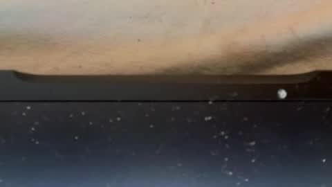 Snapshot of fofaozinho chatting on 02/14/25, 07:07 fofaozinho online show from 02/14/25, 07:07