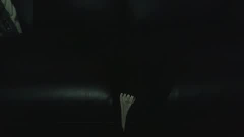 fonixxx69 online show from 01/09/26, 01:08