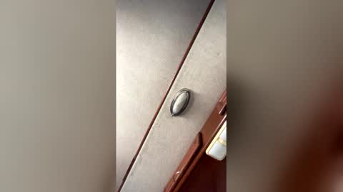 fordfocusz online show from 03/16/26, 10:03