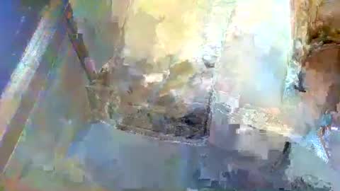 Snapshot of forest133 chatting on 01/05/25, 01:36 forest133 online show from 01/05/25, 01:36