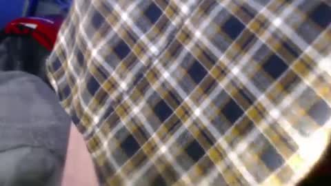 forestnymphpdx online show from 12/24/24, 08:55