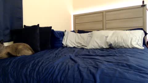 Angel online show from 12/05/24, 03:39