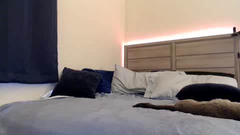 Angel online show from 12/14/24, 07:03