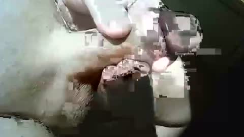 Frank online show from 03/29/26, 10:37