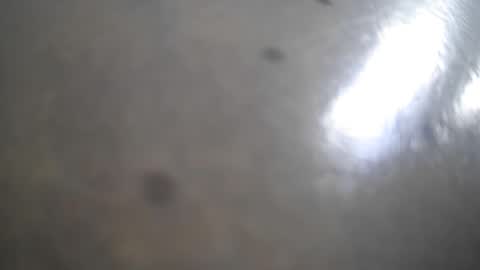 frank_sweetdick online show from 05/13/26, 04:48