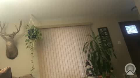 Snapshot of frankdaddy896 chatting on 01/06/26, 01:15 Frank online show from 01/06/26, 01:15