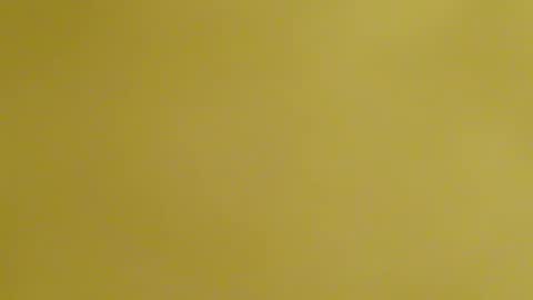 Snapshot of frankyb0yforeal chatting on 02/24/26, 07:28 frankyb0yforeal online show from 02/24/26, 07:28