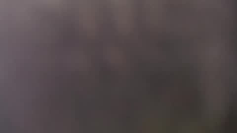 Snapshot of frasalv chatting on 05/15/26, 10:44 francescosal online show from 05/15/26, 10:44