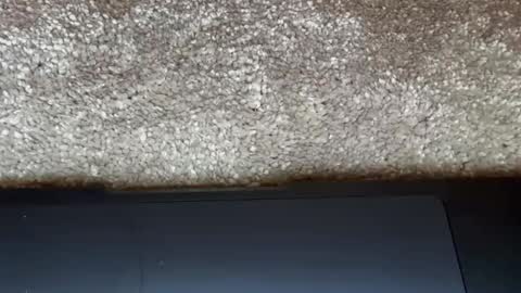 athena online show from 02/27/26, 09:15