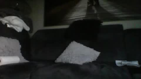 fredo76491 online show from 10/31/25, 04:52