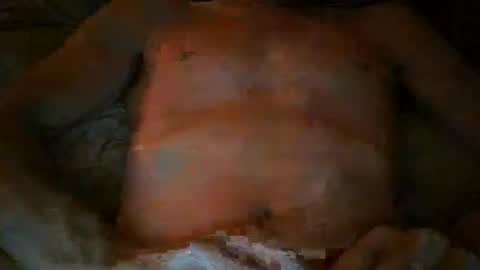 free willy online show from 11/17/25, 04:46