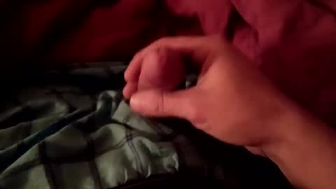 Snapshot of freebird12323 chatting on 01/26/25, 11:17 freebird12323 online show from 01/26/25, 11:17