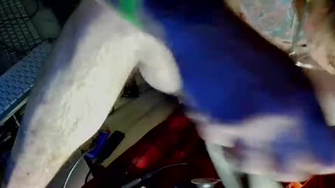 Snapshot of freeman2doyou2 chatting on 12/22/24, 08:16 freeman2doyou2 online show from 12/22/24, 08:16