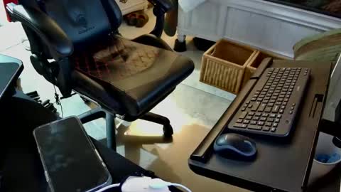 Snapshot of freespirt2 chatting on 11/01/25, 03:08 freespirt2 online show from 11/01/25, 03:08