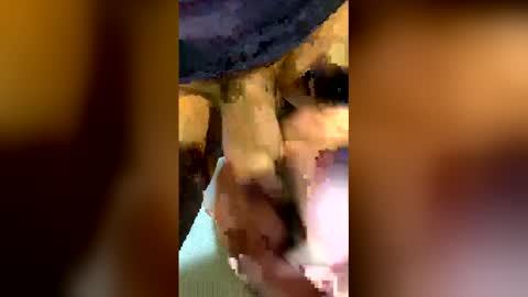 Snapshot of freestpeople chatting on 04/14/26, 01:55 freestpeople online show from 04/14/26, 01:55