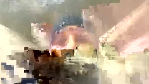 Horny french hard online show from 12/17/24, 12:34