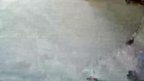 frenchpapalover online show from 12/05/24, 12:33