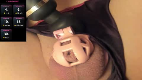 Meadow online show from 01/11/25, 12:29