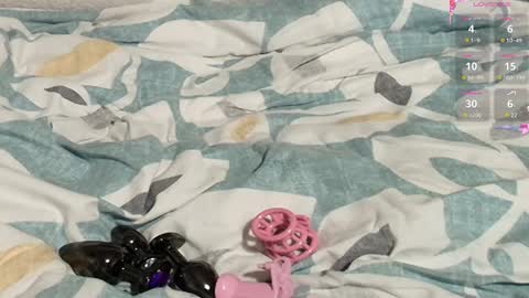 Meadow online show from 02/27/25, 10:26