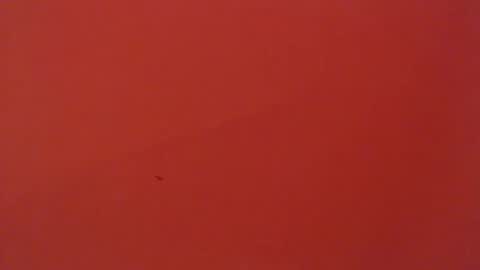 FREYJA LOREN online show from 02/06/25, 05:14