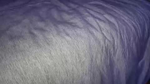 FreyaTheGemini online show from 01/07/25, 03:46