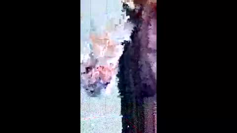 friendshipplus online show from 02/03/26, 08:08