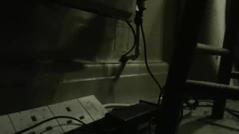 Snapshot of fritzof1 chatting on 05/10/26, 02:17 Fritzof online show from 05/10/26, 02:17