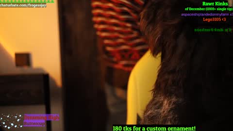   Jaywise Frogfoot  online show from 12/26/24, 09:47