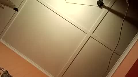 Snapshot of fucmebudoo chatting on 07/13/26, 04:37 Warwick online show from 07/13/26, 04:37