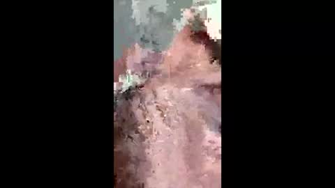 fukitol73 online show from 04/19/26, 09:28