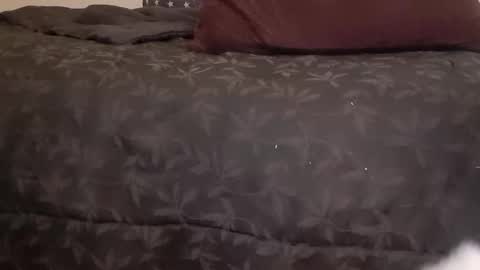 Pizzaz online show from 01/14/25, 07:06