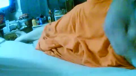 fultonstreet196860 online show from 11/24/25, 02:22