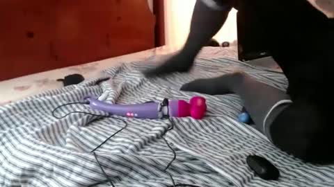 Funcock online show from 12/14/24, 11:50