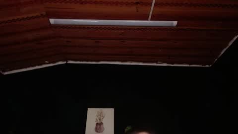 FIRE AND FOX online show from 11/18/25, 06:56