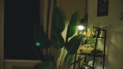 Snapshot of g_ia chatting on 02/26/26, 07:24 G online show from 02/26/26, 07:24