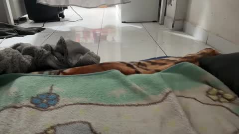 gab021593 online show from 01/08/26, 01:57