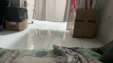 gab021593 online show from 01/14/26, 03:06