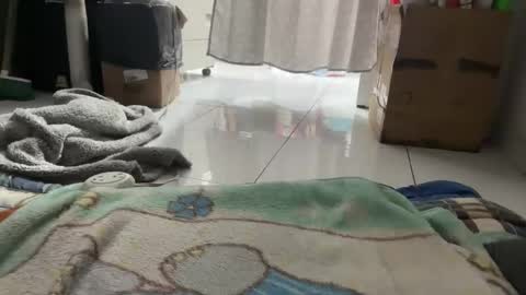 Snapshot of gab021593 chatting on 01/16/26, 03:38 gab021593 online show from 01/16/26, 03:38