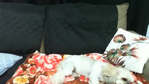 gaby  layla online show from 01/20/25, 02:01