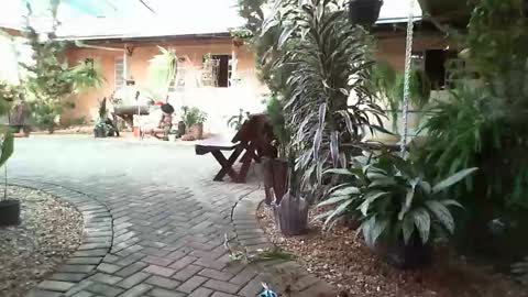 gaby  layla online show from 01/31/25, 08:22