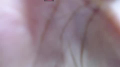 Snapshot of gabriela_morales01 chatting on 12/12/24, 05:31 .  online show from 12/12/24, 05:31