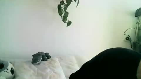 Gael Garca online show from 02/11/26, 06:02