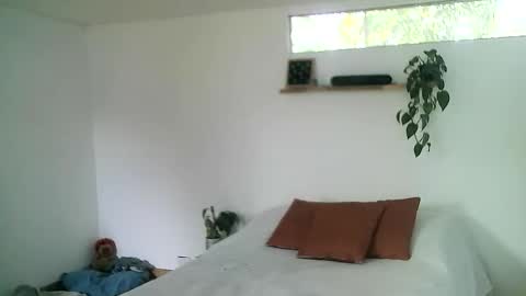 Gael Garca online show from 03/01/26, 08:11