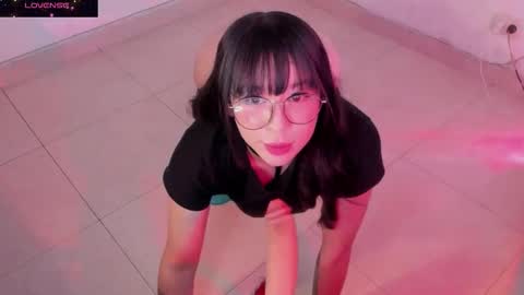 PROXIMO SHOW NOVIEMBRE 16   NEXT SHOW NOVEMBER  16    online show from 09/08/25, 09:58