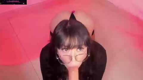 PROXIMO SHOW NOVIEMBRE 16   NEXT SHOW NOVEMBER  16    online show from 09/19/25, 09:59