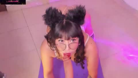 PROXIMO SHOW NOVIEMBRE 16   NEXT SHOW NOVEMBER  16    online show from 11/25/25, 09:04