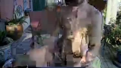 Snapshot of galleguin1 chatting on 06/13/26, 06:39 galleguin1 online show from 06/13/26, 06:39