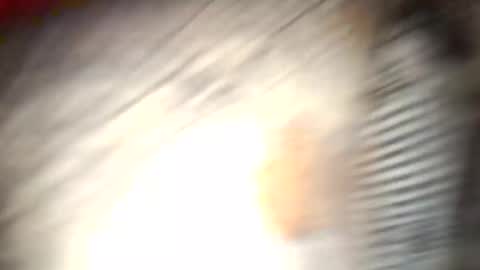 gallistuthomas440 online show from 10/26/25, 07:31